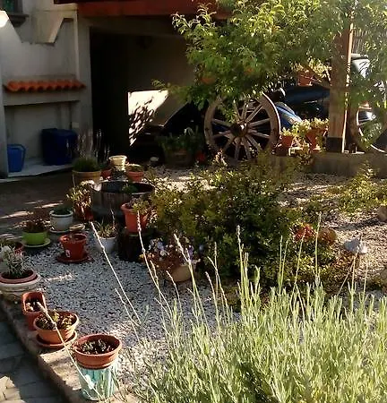 Casa vacanze Padru Mannu Sagama